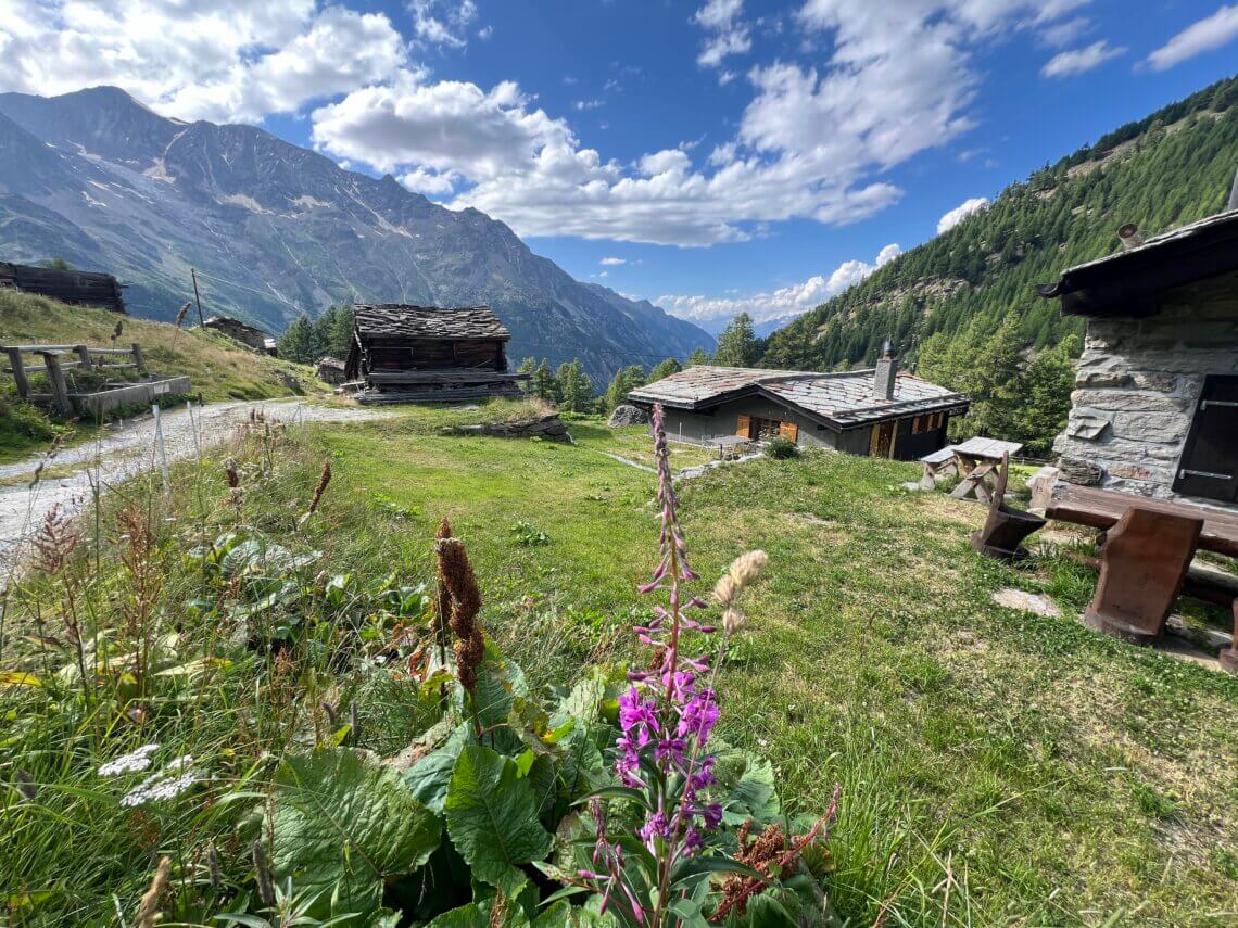 Een mooi wandeling is van Kreuzboden terug naar het dal.