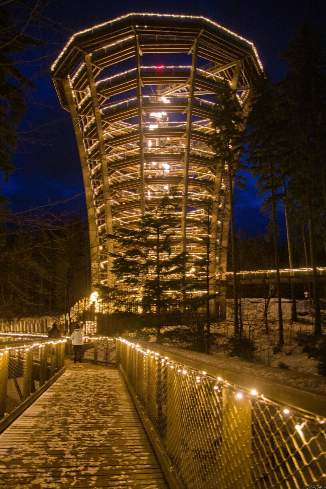 's Avonds is het boomtoppenpad mooi verlicht.
©CzechTourism