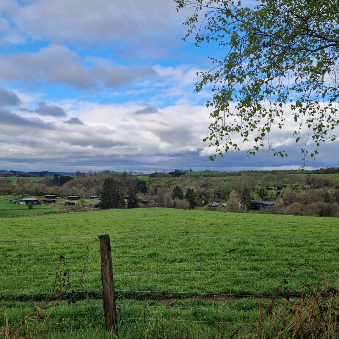 Landal Hillview ligt in de heuvels van de Ardennen.