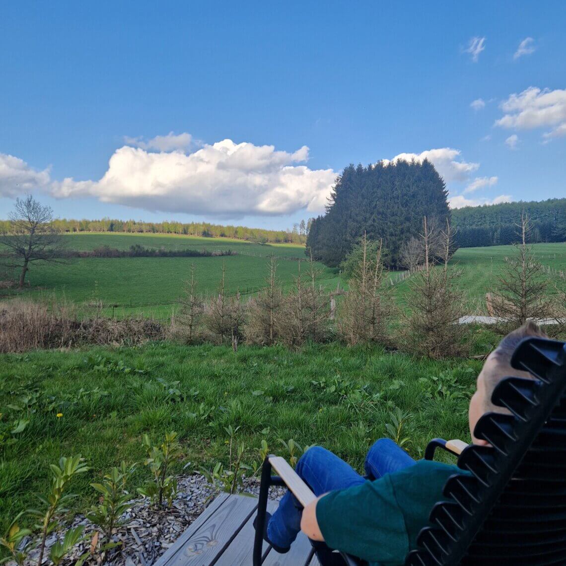 Vanaf onze forest lodge een geweldig uitzicht