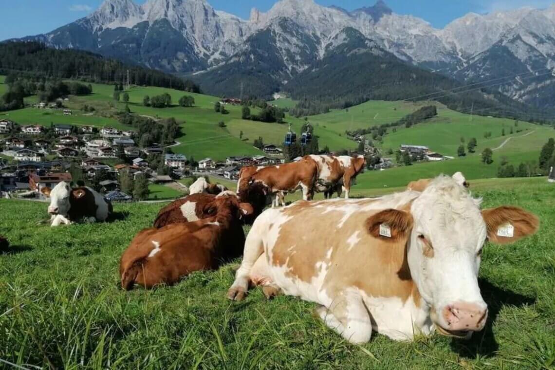 Hinterthal is een charmant bergdorpje in het Salzburgerland.