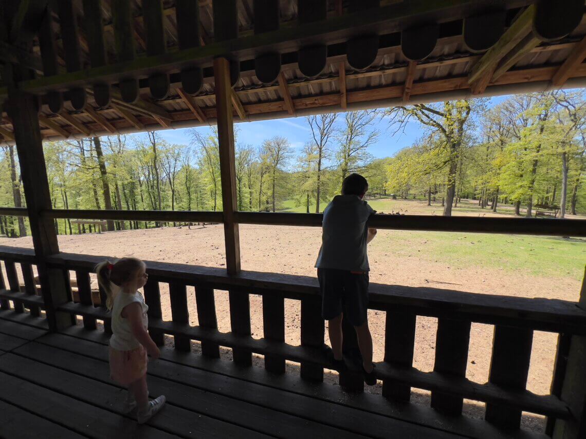 Wild- & Erlebnispark Daun is absoluut een bezoek waard tijdens een vakantie in de Eifel met kinderen.