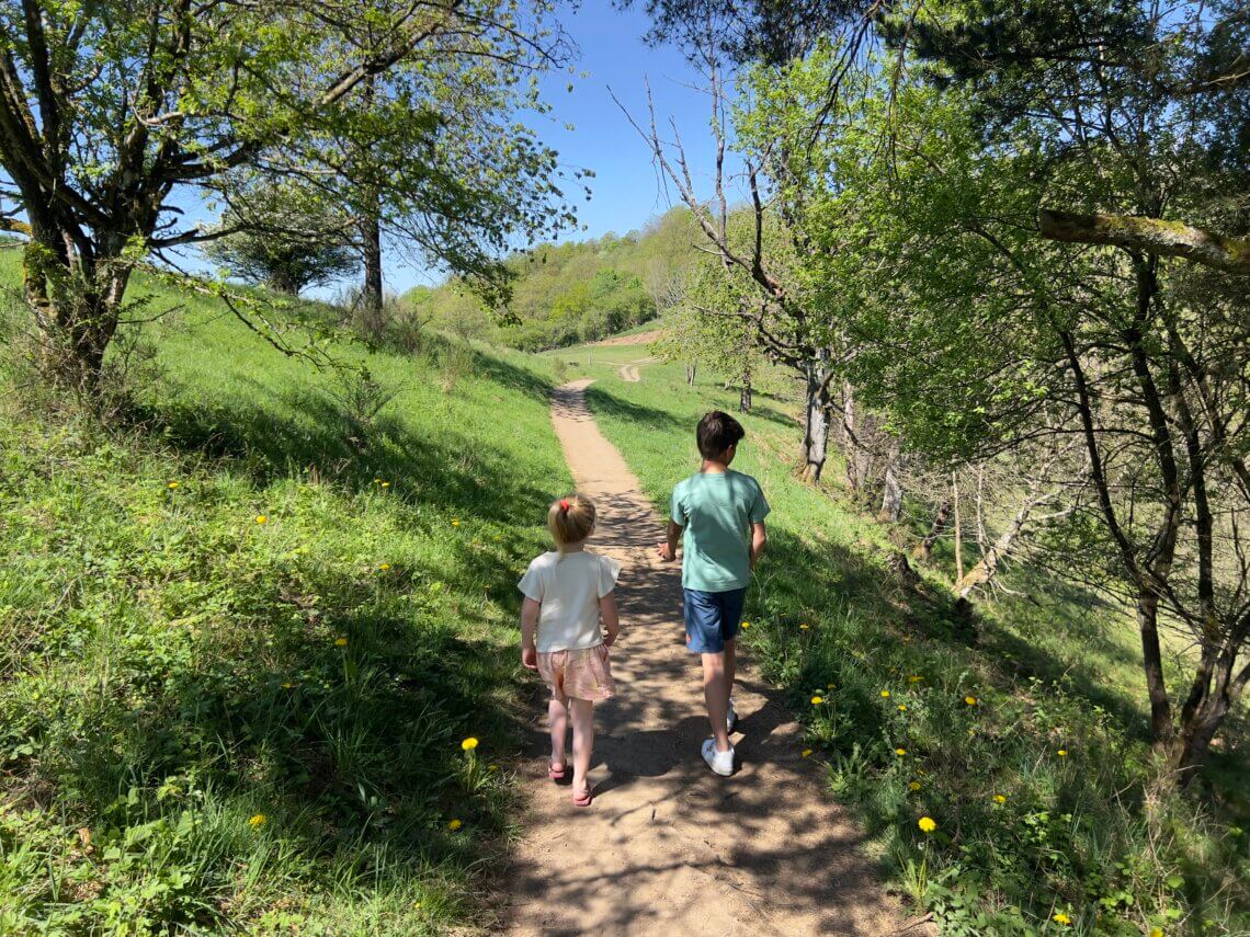 Een korte maar gevarieerde wandeling naar de Dronketurm in de Eifel.