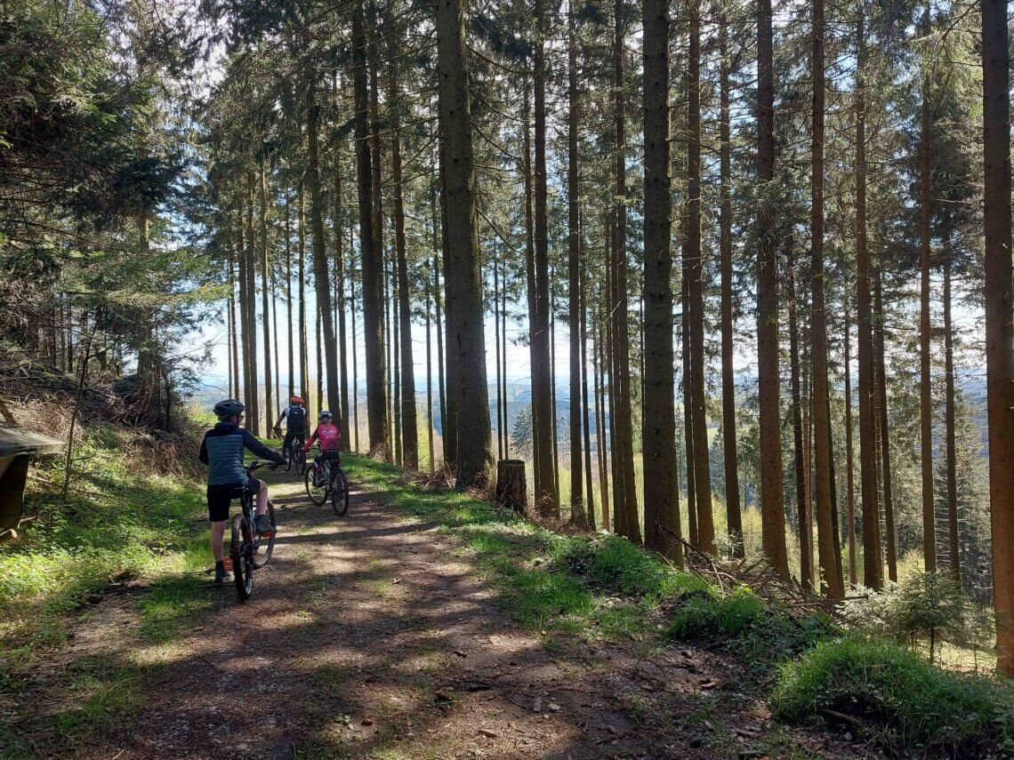 Fietsen door de bossen van Willingen