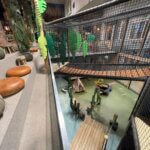 De prachtige indoor speeltuin over meerdere verdiepingen!