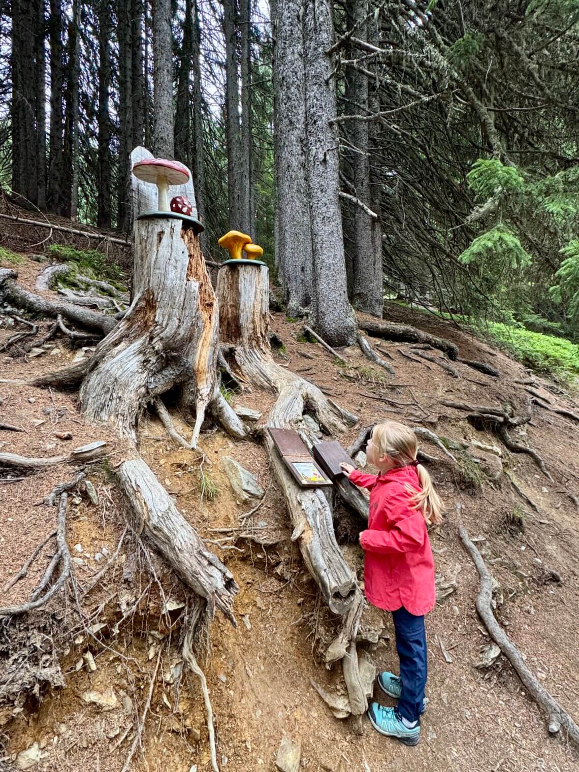 Saalbach Hinterglemm met kinderen
