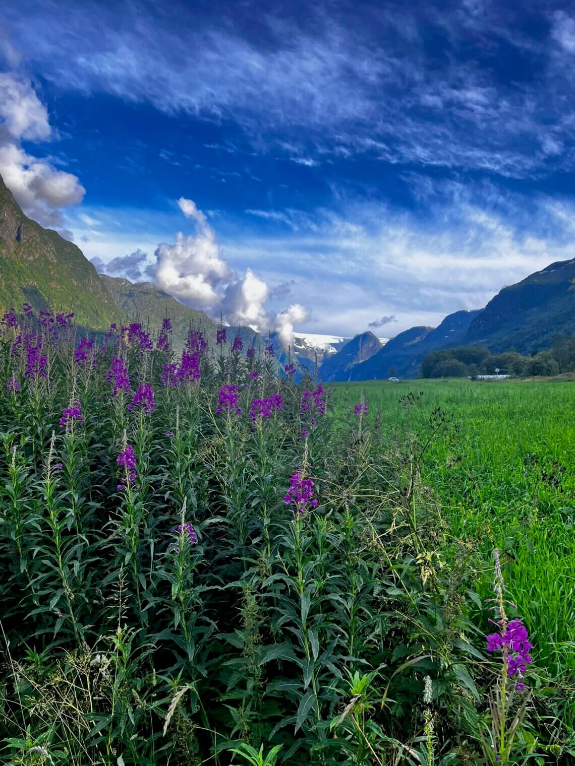 Naar Vestland met kinderen in Noorwegen? Dat is een prachtige bestemming!