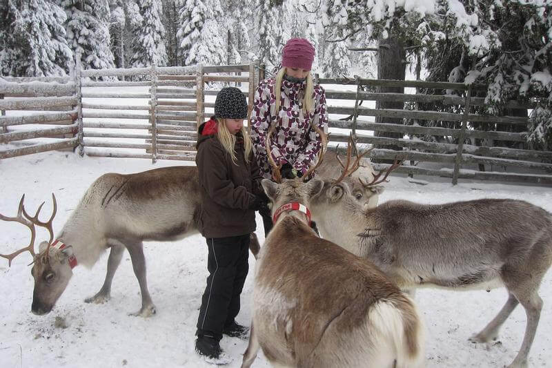 Lapland