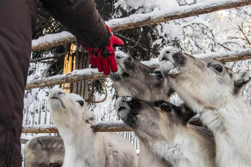 Lapland