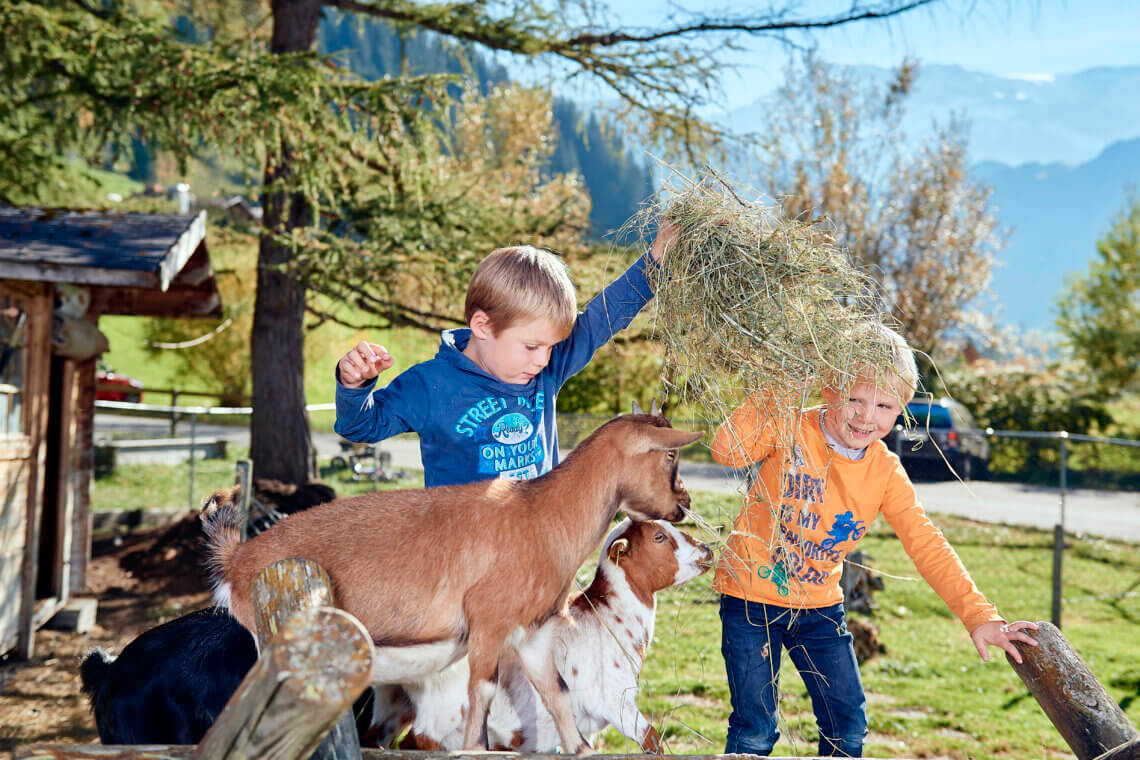 Ferien- und Familienhotel Alpina