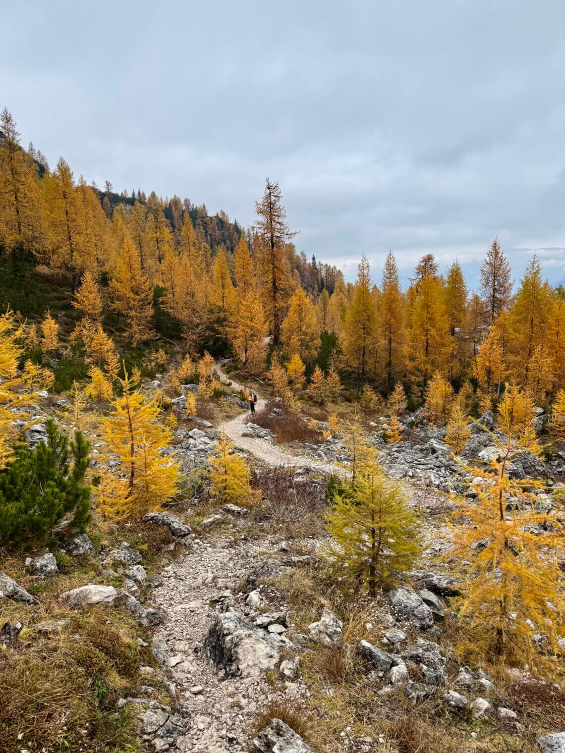 Dolomietenregio 3 Zinnen