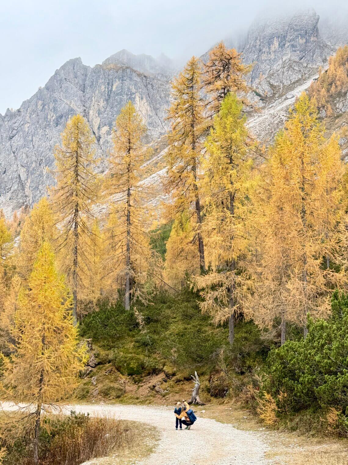 Dolomietenregio 3 Zinnen