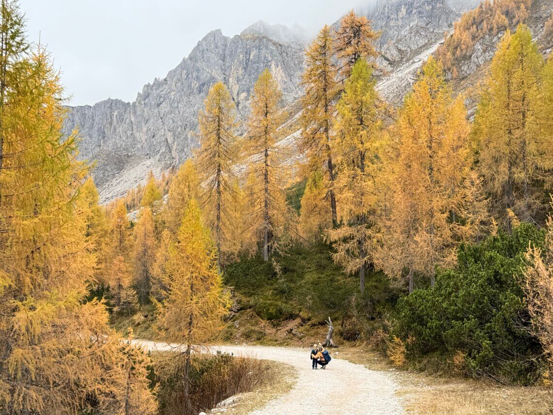 Dolomietenregio 3 Zinnen