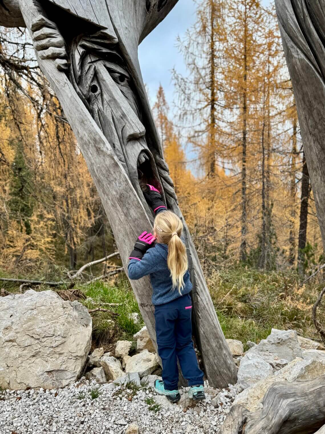 Dolomietenregio 3 Zinnen