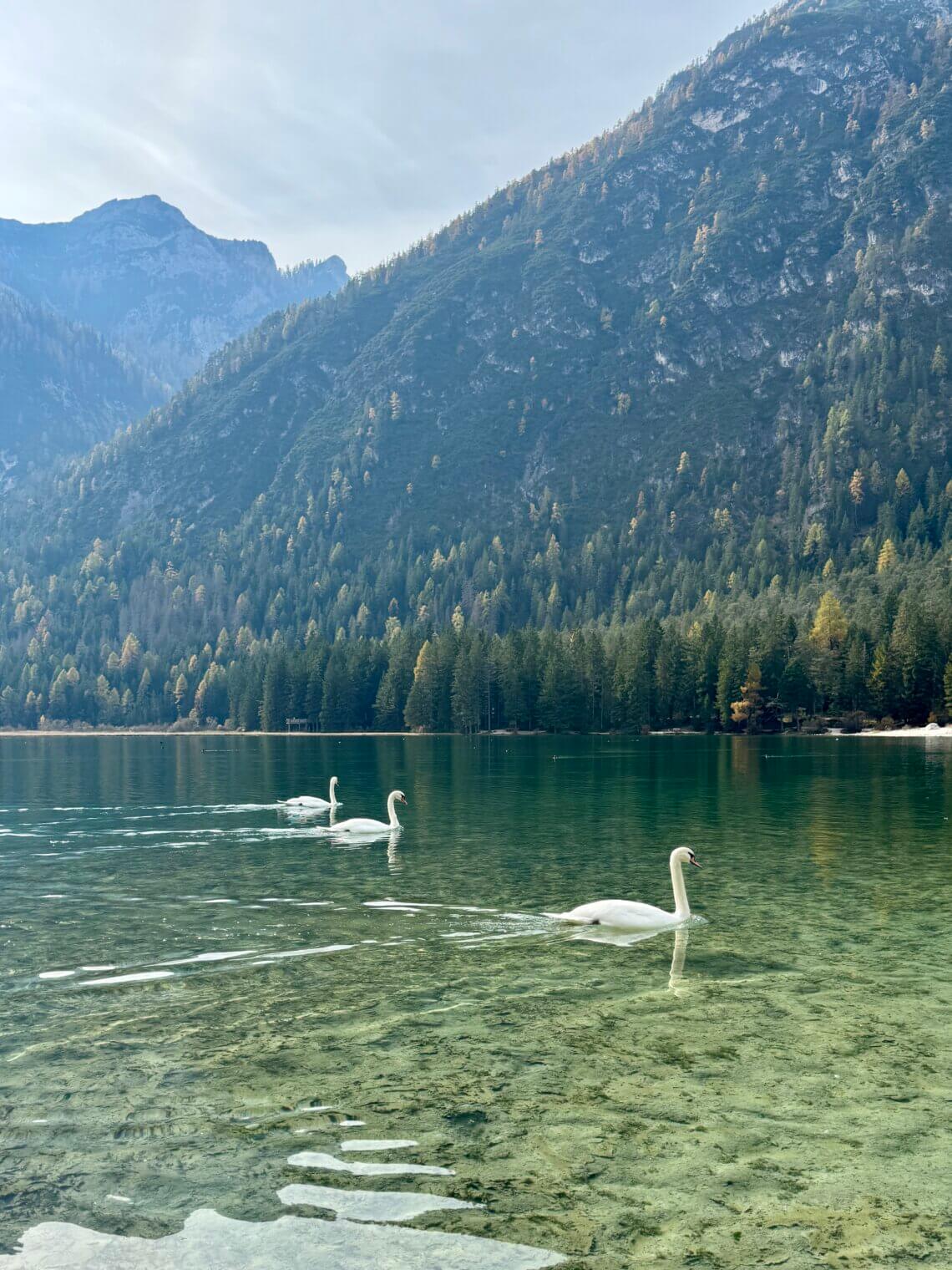 Dolomietenregio 3 Zinnen