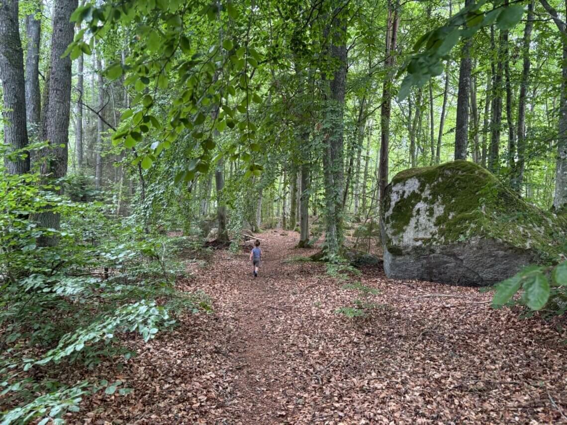 Zuid Zweden: natuur en avontuur met kinderen