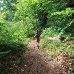 Zuid Zweden: natuur en avontuur met kinderen