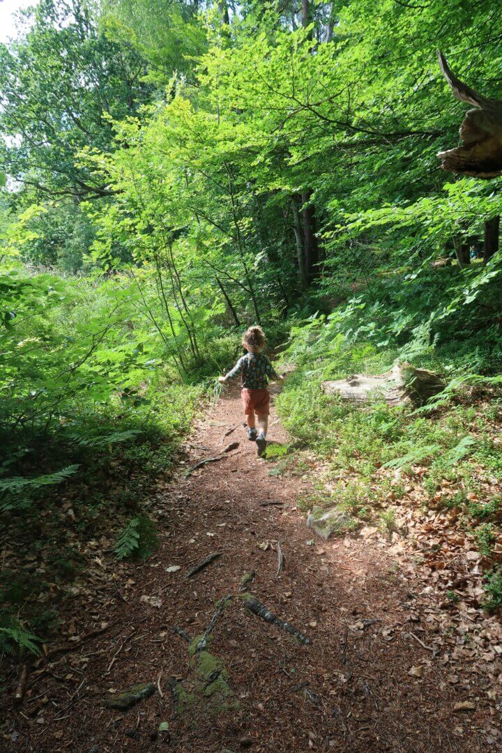 Zuid Zweden: natuur en avontuur met kinderen