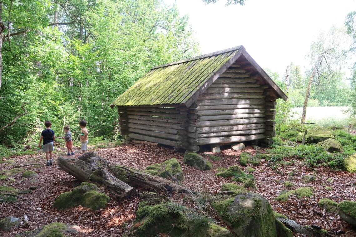 Zuid Zweden: natuur en avontuur met kinderen