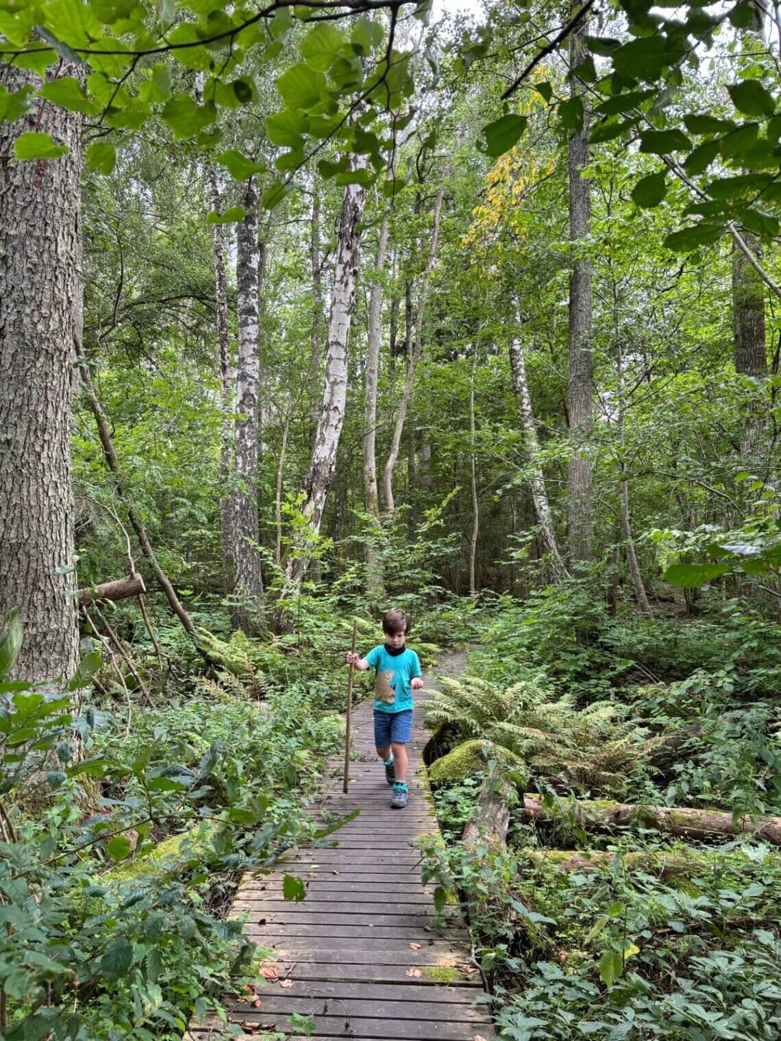 Zuid Zweden: natuur en avontuur met kinderen