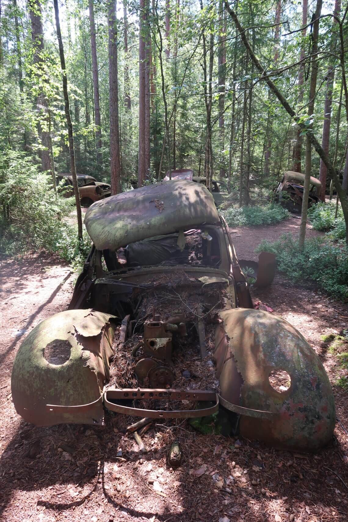Zuid Zweden: natuur en avontuur met kinderen