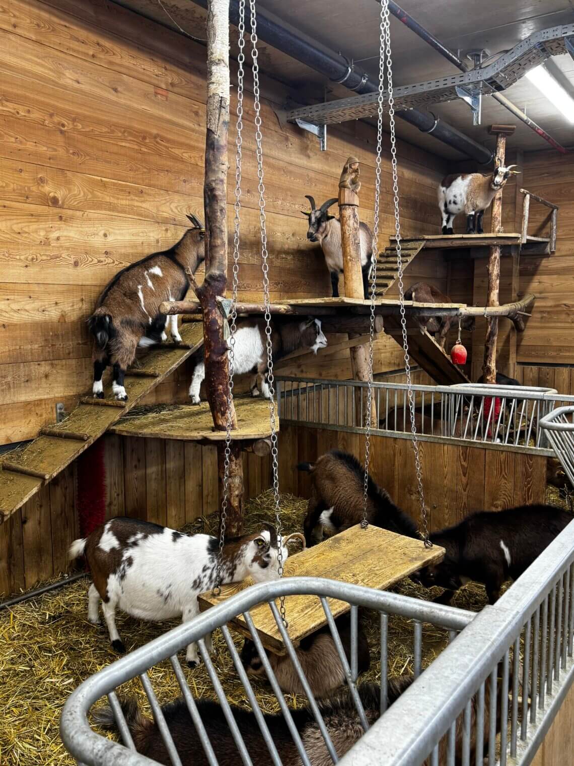 Seefeld Tirol winter