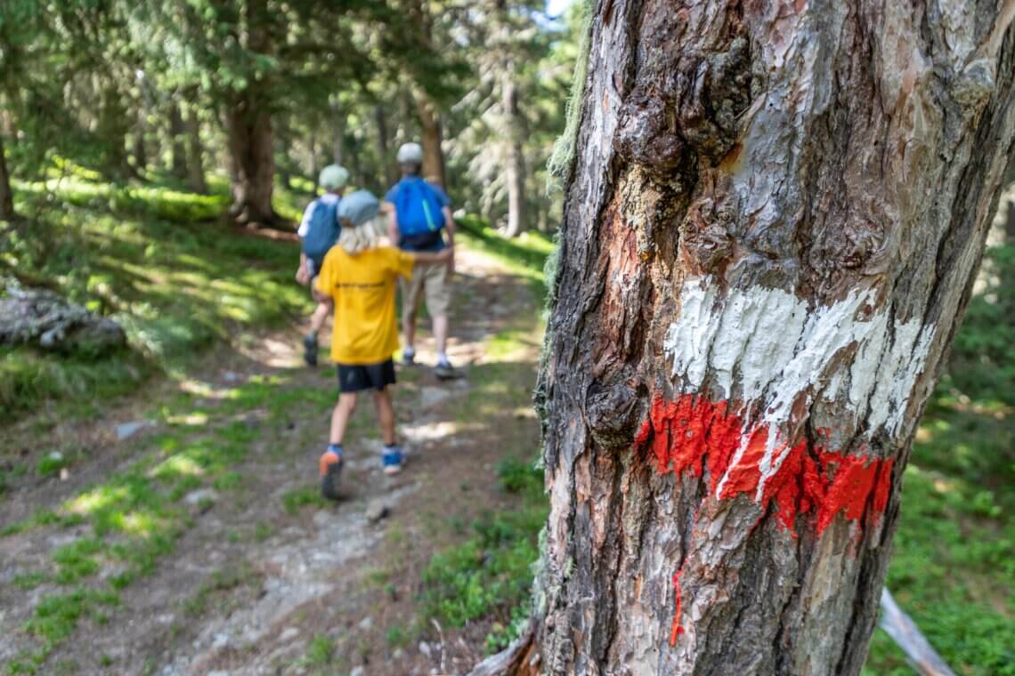 Wandelen SNP Trail Markers