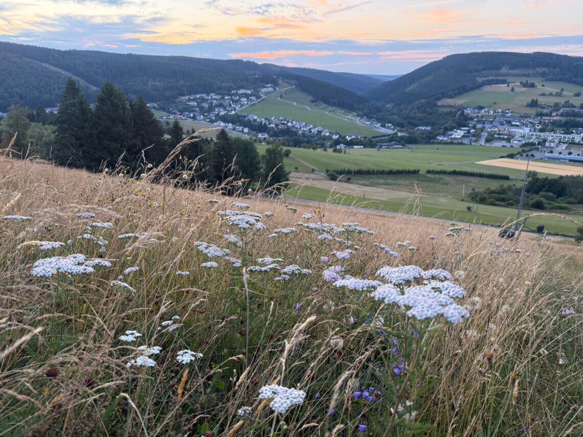 Een korte vakantie naar Willingen met kinderen is absoluut een aanrader! 