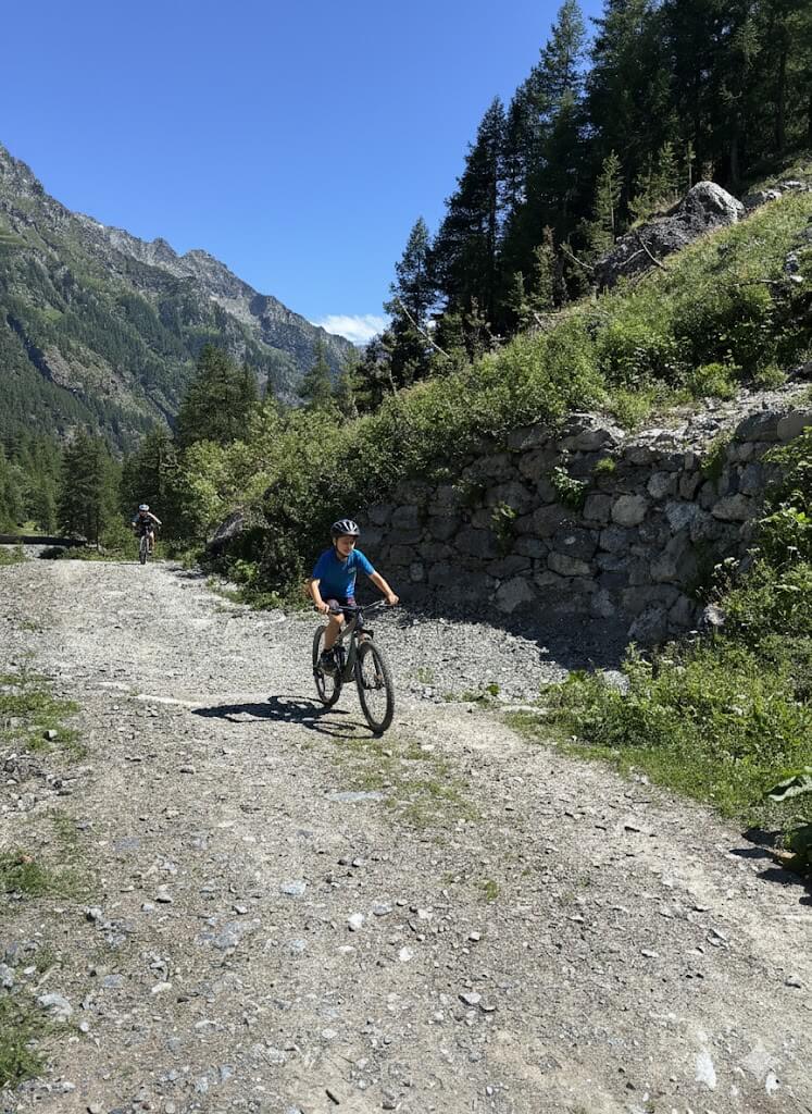 Flowtrack Family Peaks Aosta Vallei