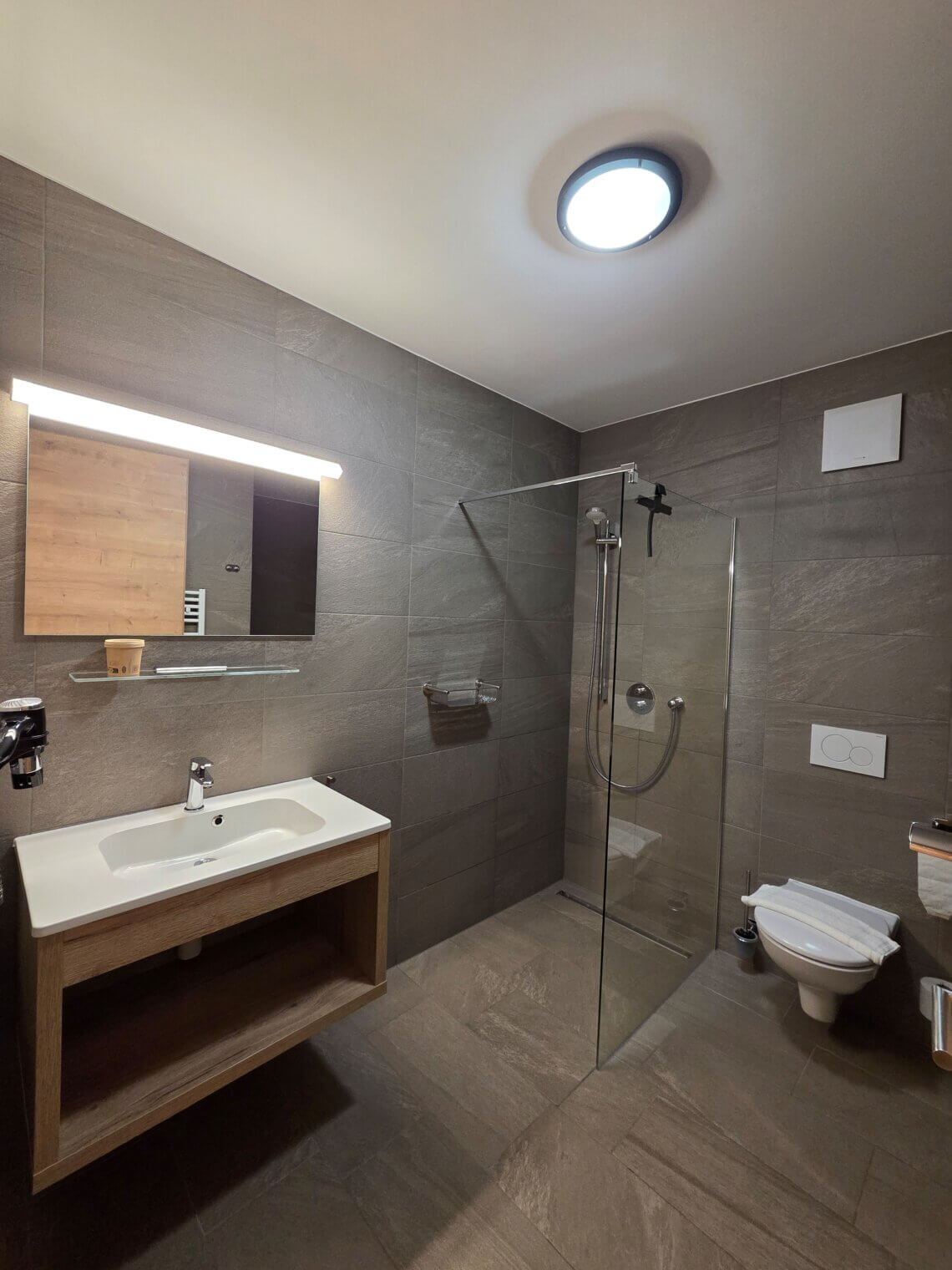 De badkamer met inloopdouche en toilet