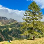 Berghaus Wanderlust Mallnitz zomer.