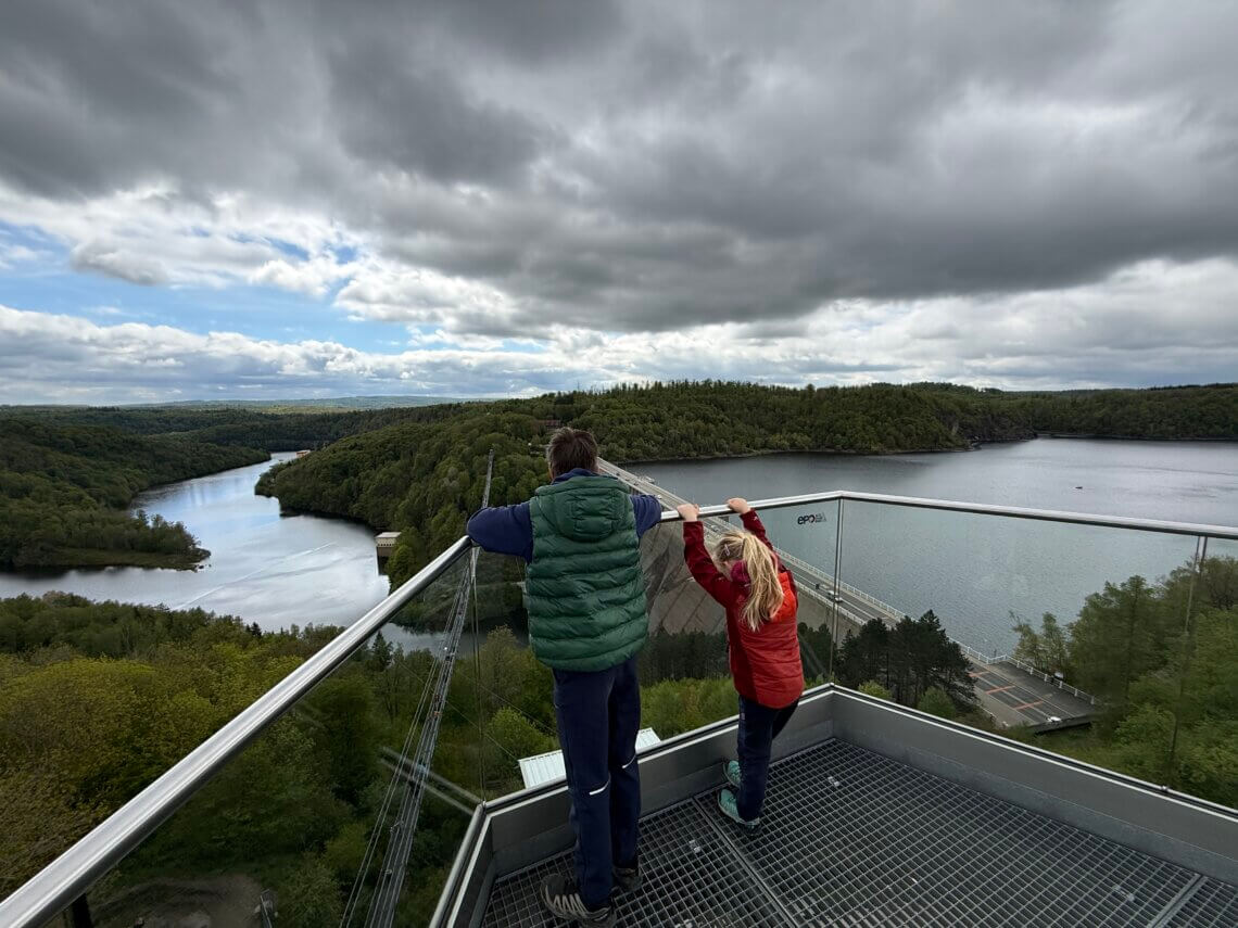 Waanzinnig uitzicht vanaf de toren Solitair bij Harzdralin.