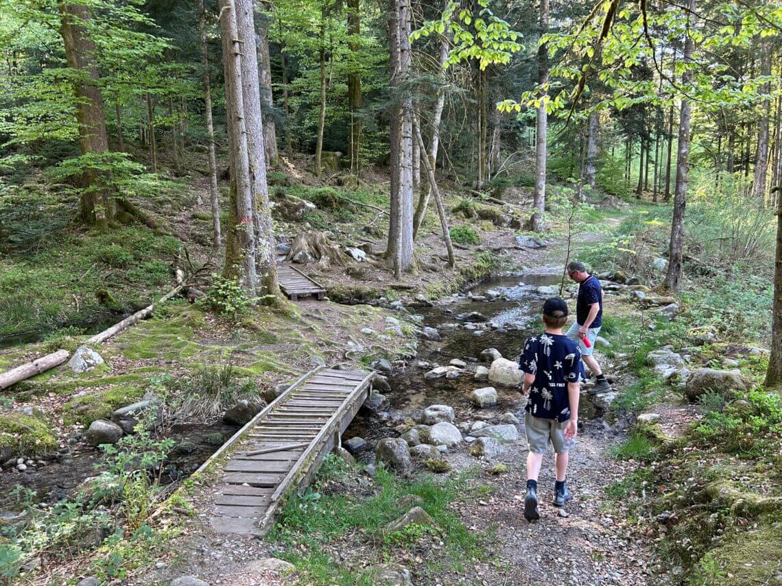 Wandelen in het bos in de Vogezen.