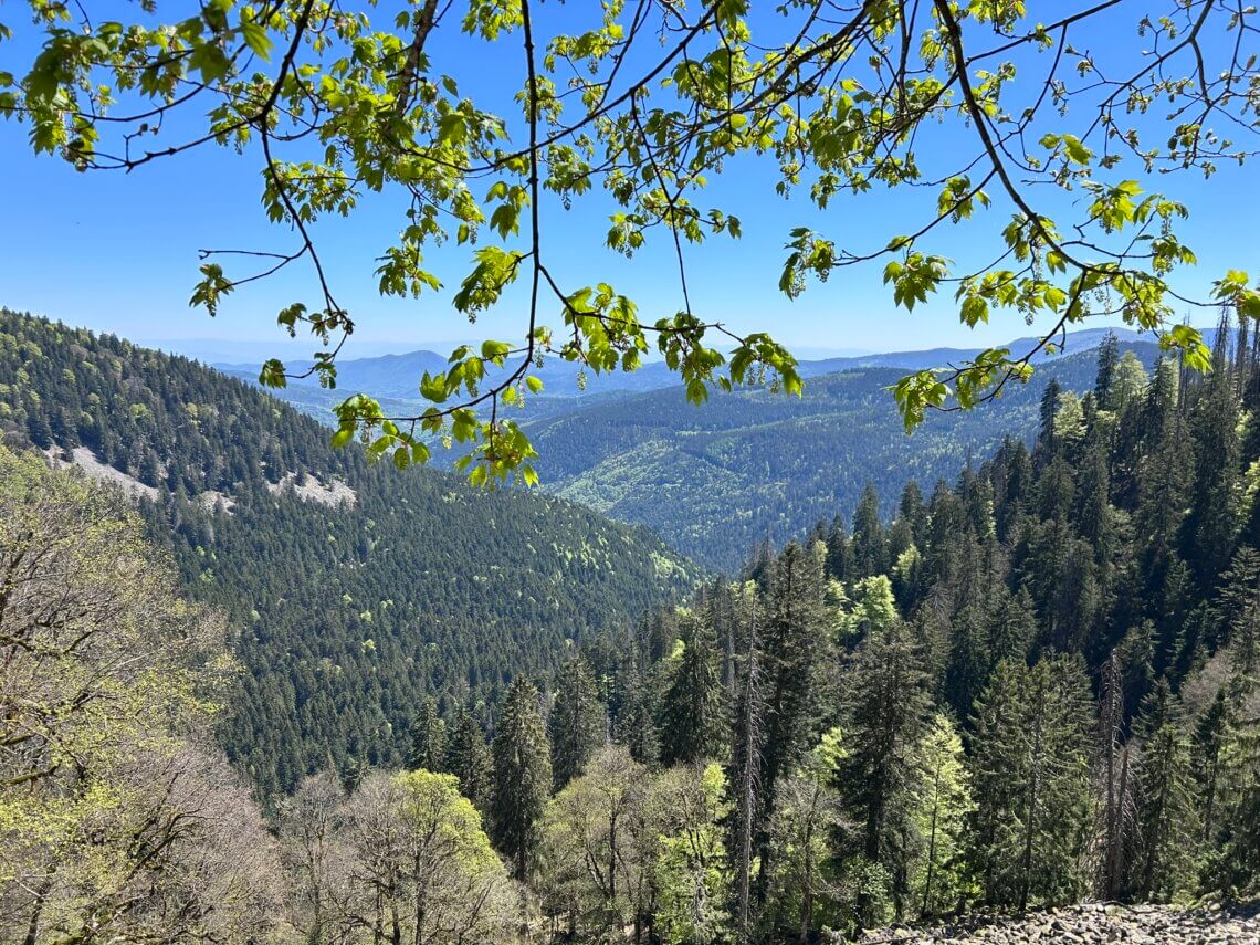Schitterend uitzicht in de Vogezen.