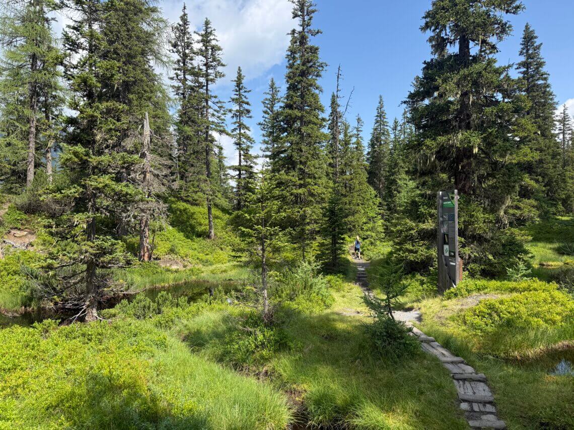 Het prachtige Rauriser Urwald 