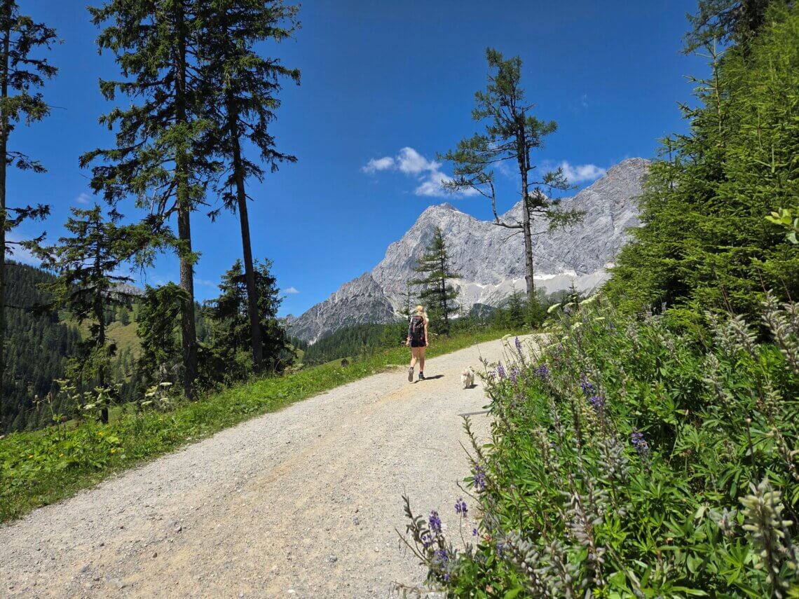 En dan zien we de toppen van de Dachstein voor ons
