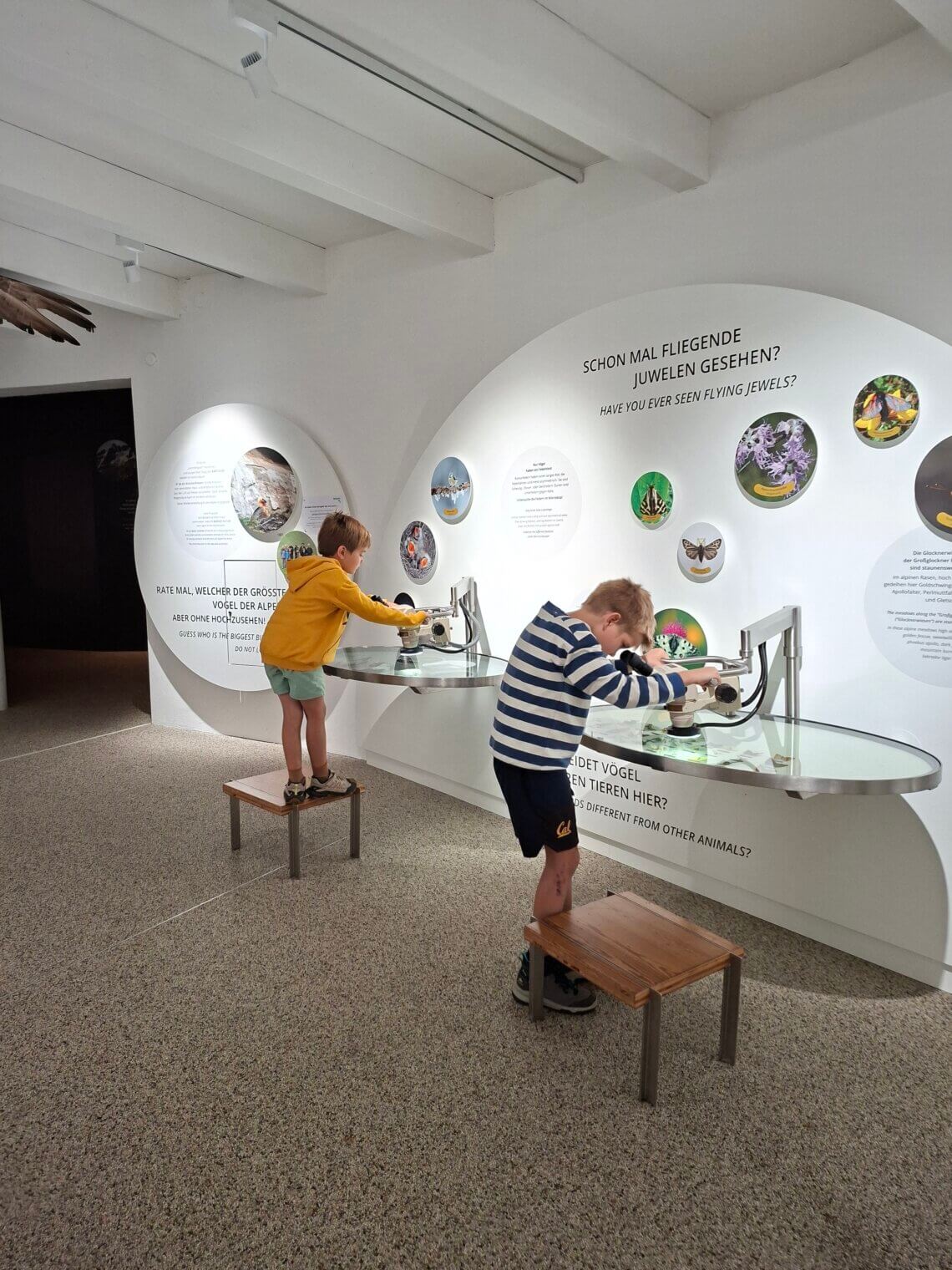 BIOS Nationalparkcentrum in Mallnitz