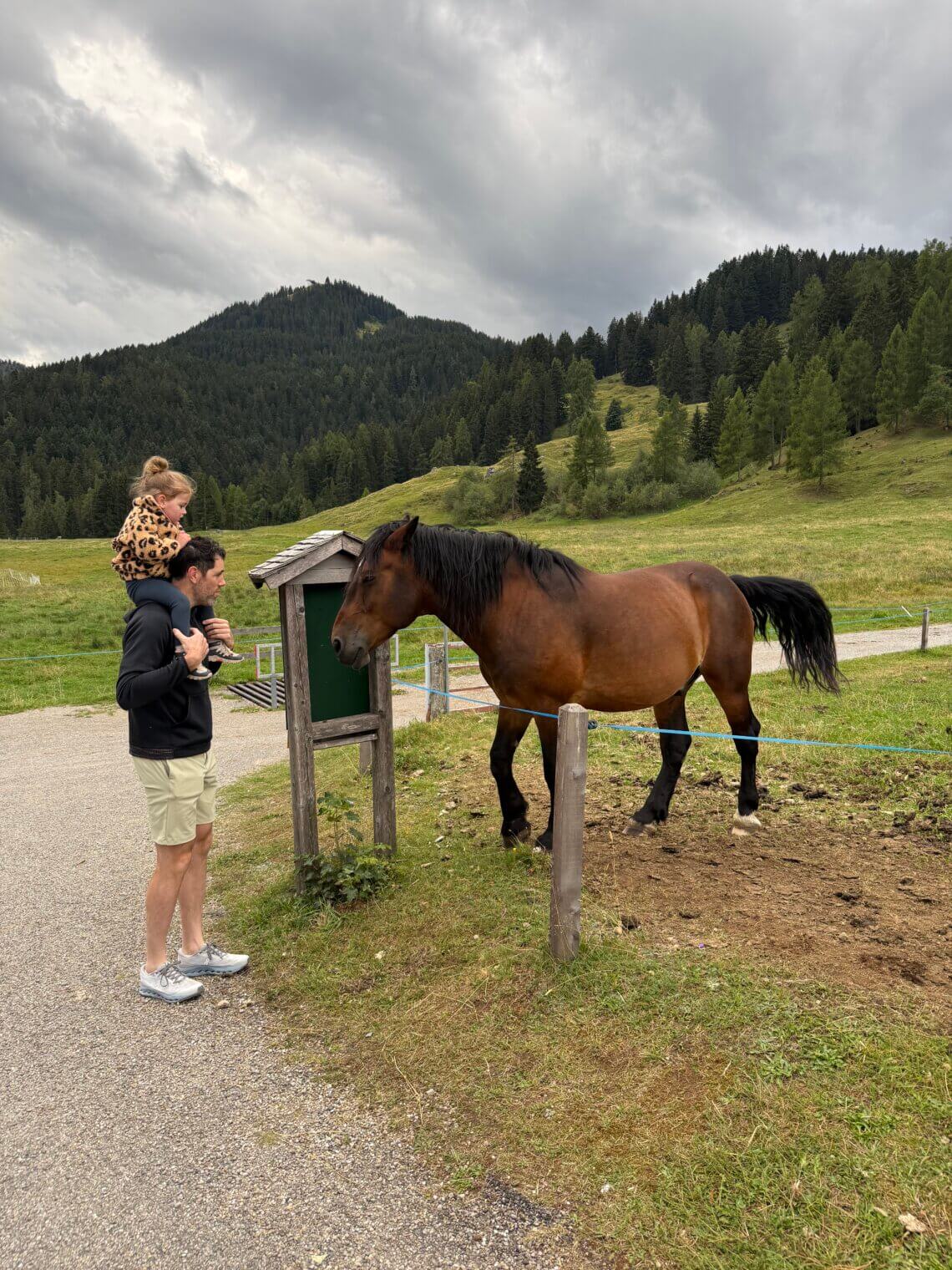 Brandnertal Oostenrijk zomer 2026