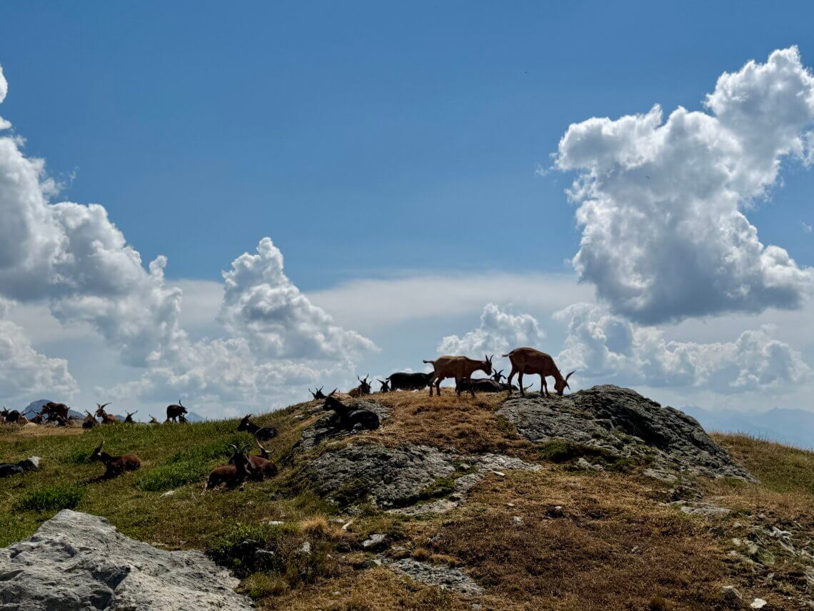 Pays des Ecrins