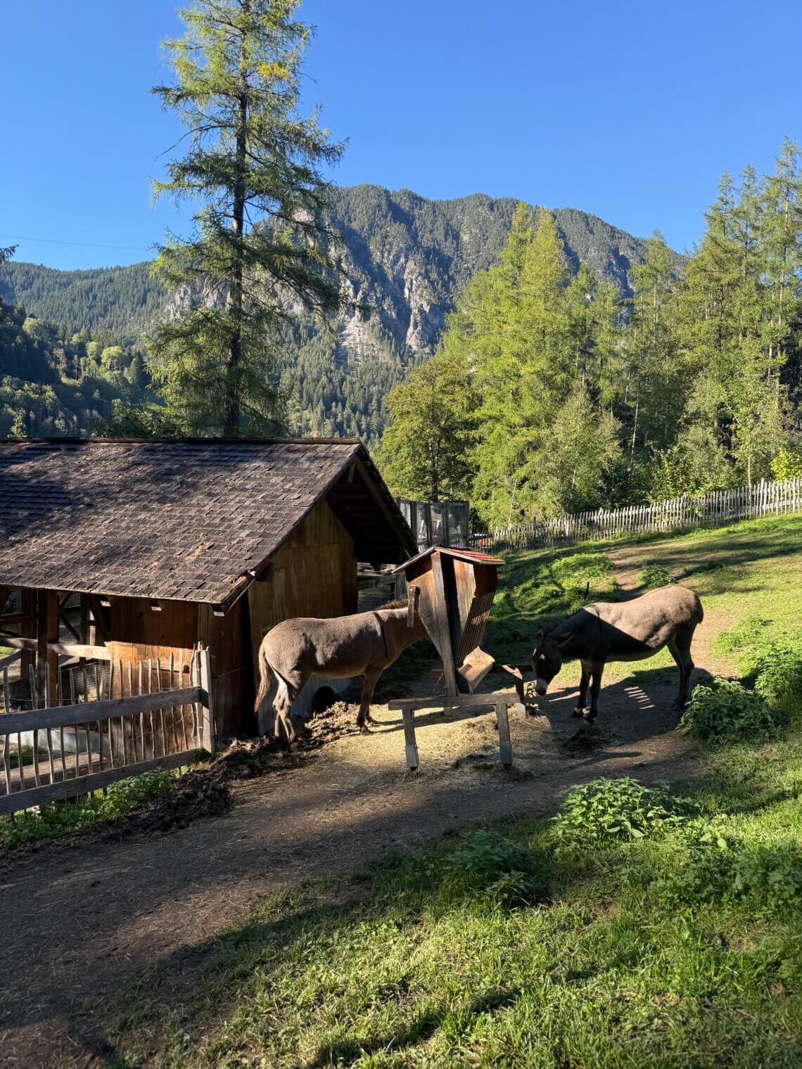 Brandnertal Oostenrijk zomer 2026