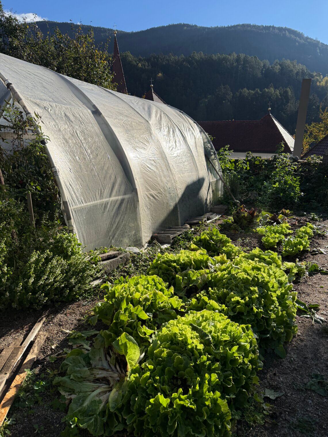 O'Mama family time