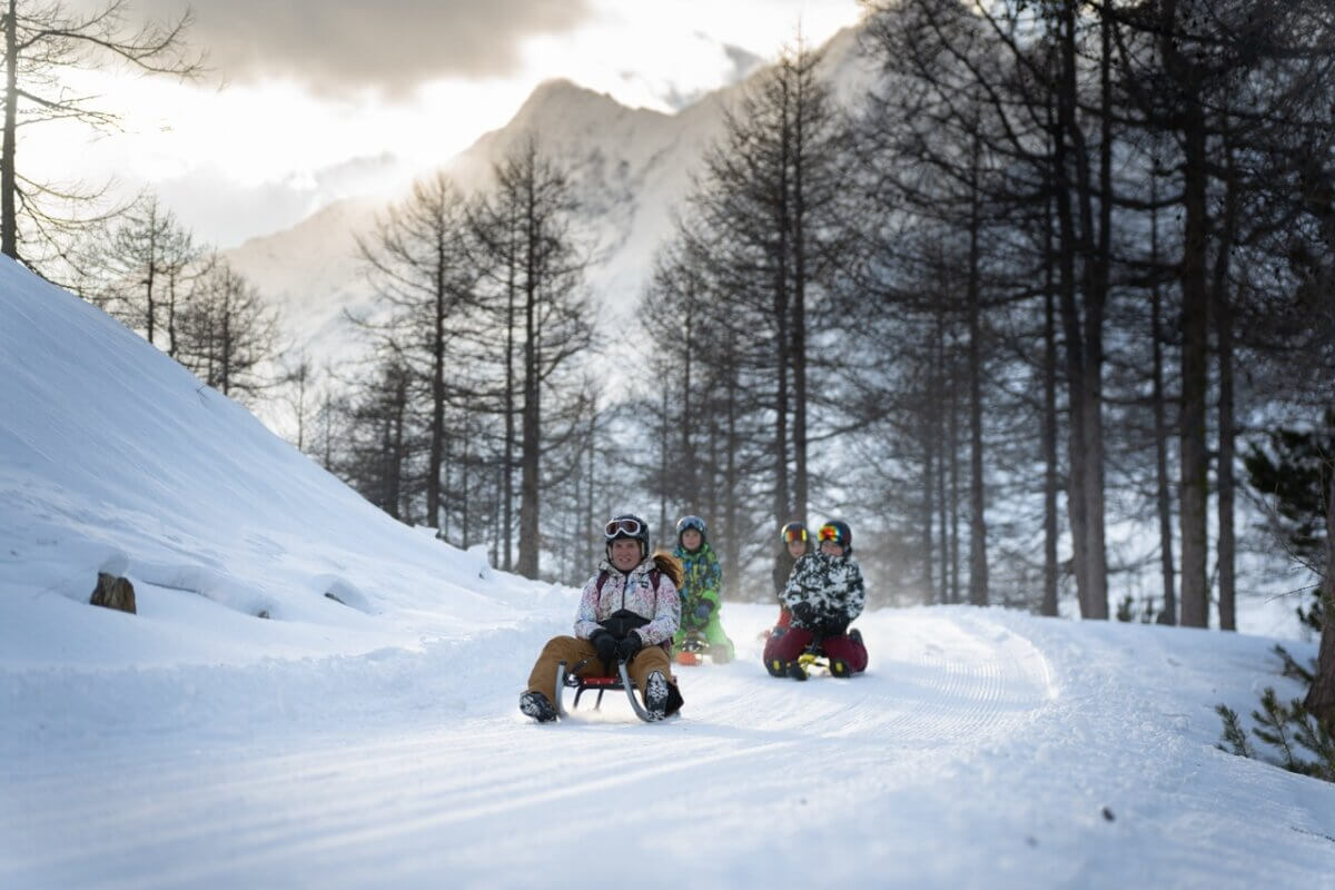 Rodelen door de bossen naar Saas-Grund