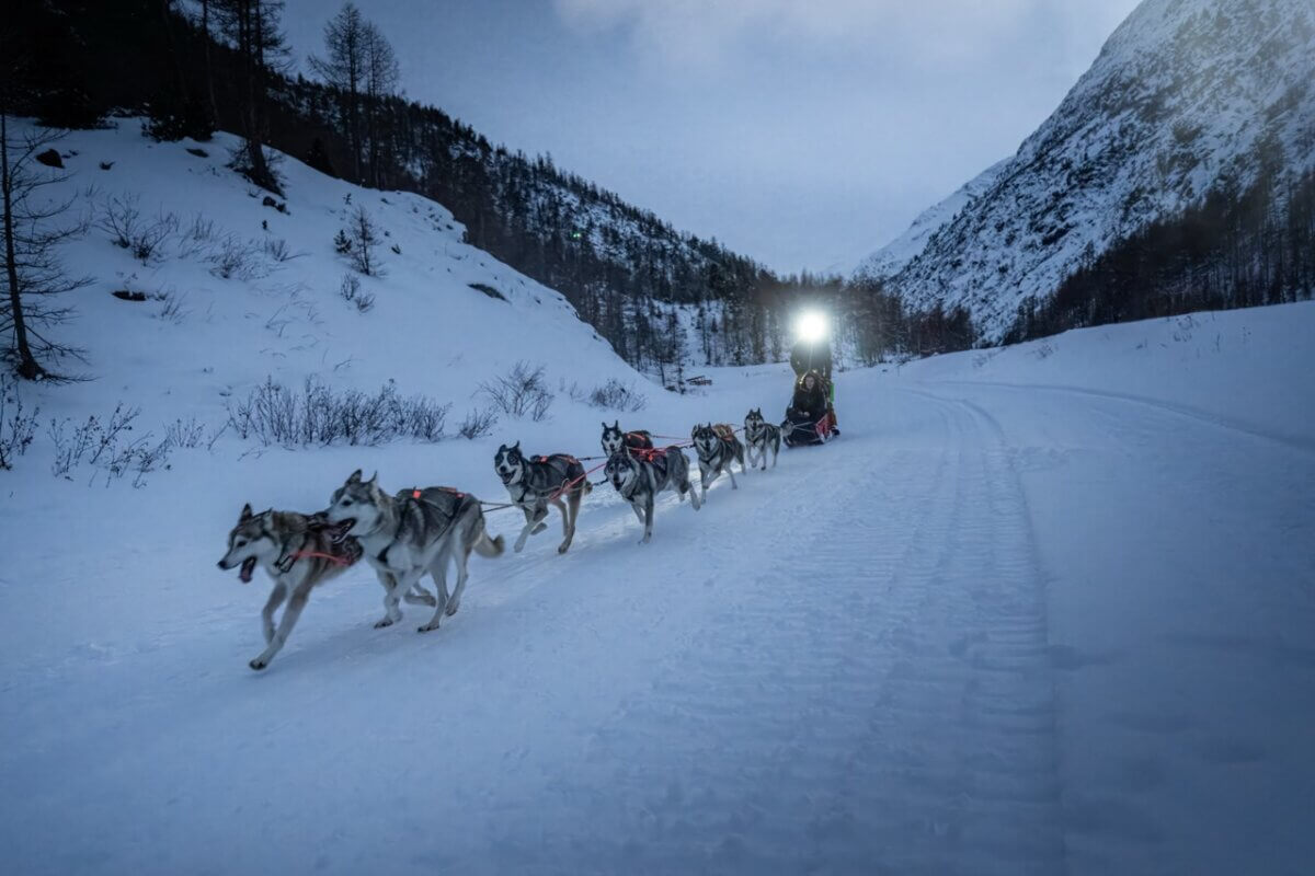 Huskytocht in Saas-Fee